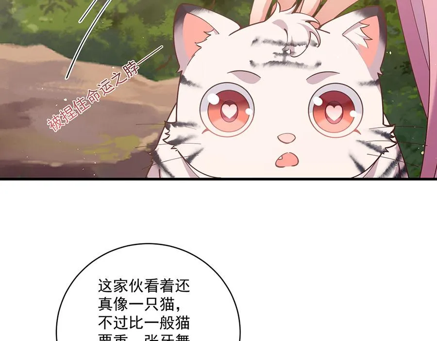 第436话 弱鸡白虎 第40页