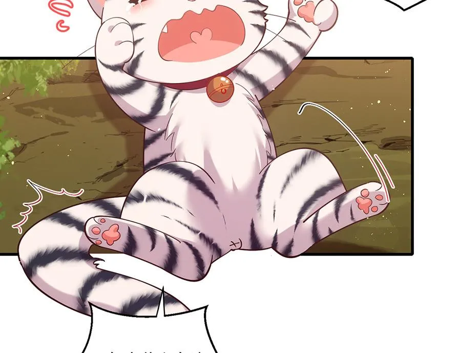 第436话 弱鸡白虎 第61页
