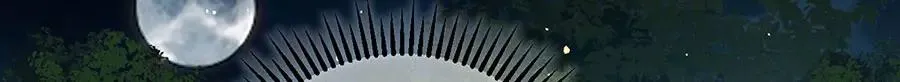 第445话 酒肉穿肠过 第75页