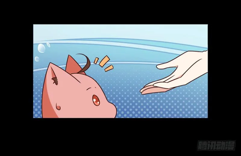 第48话 背锅的同心蚌 第5页
