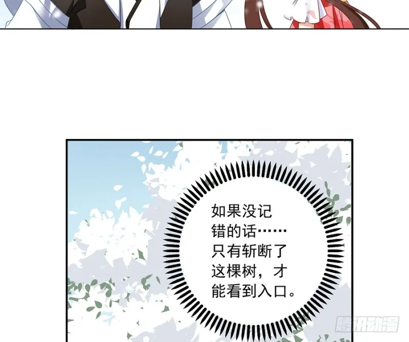 95.高阶幻境 第5页