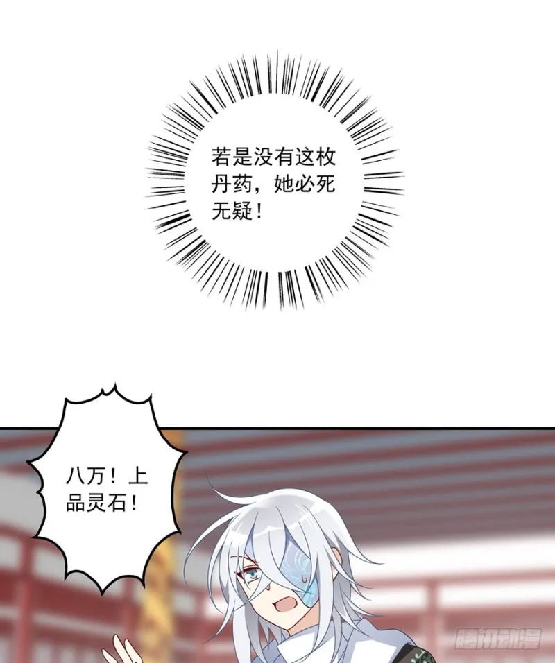 111.拍卖再生丹 第11页