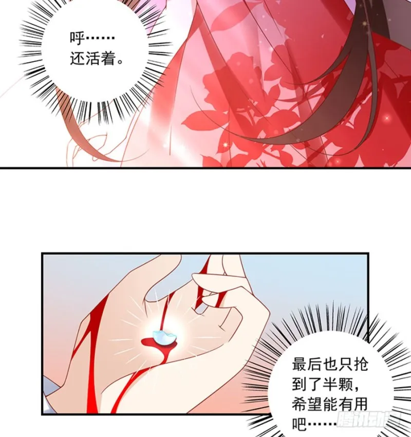 113.我的人谁敢动他！ 第11页
