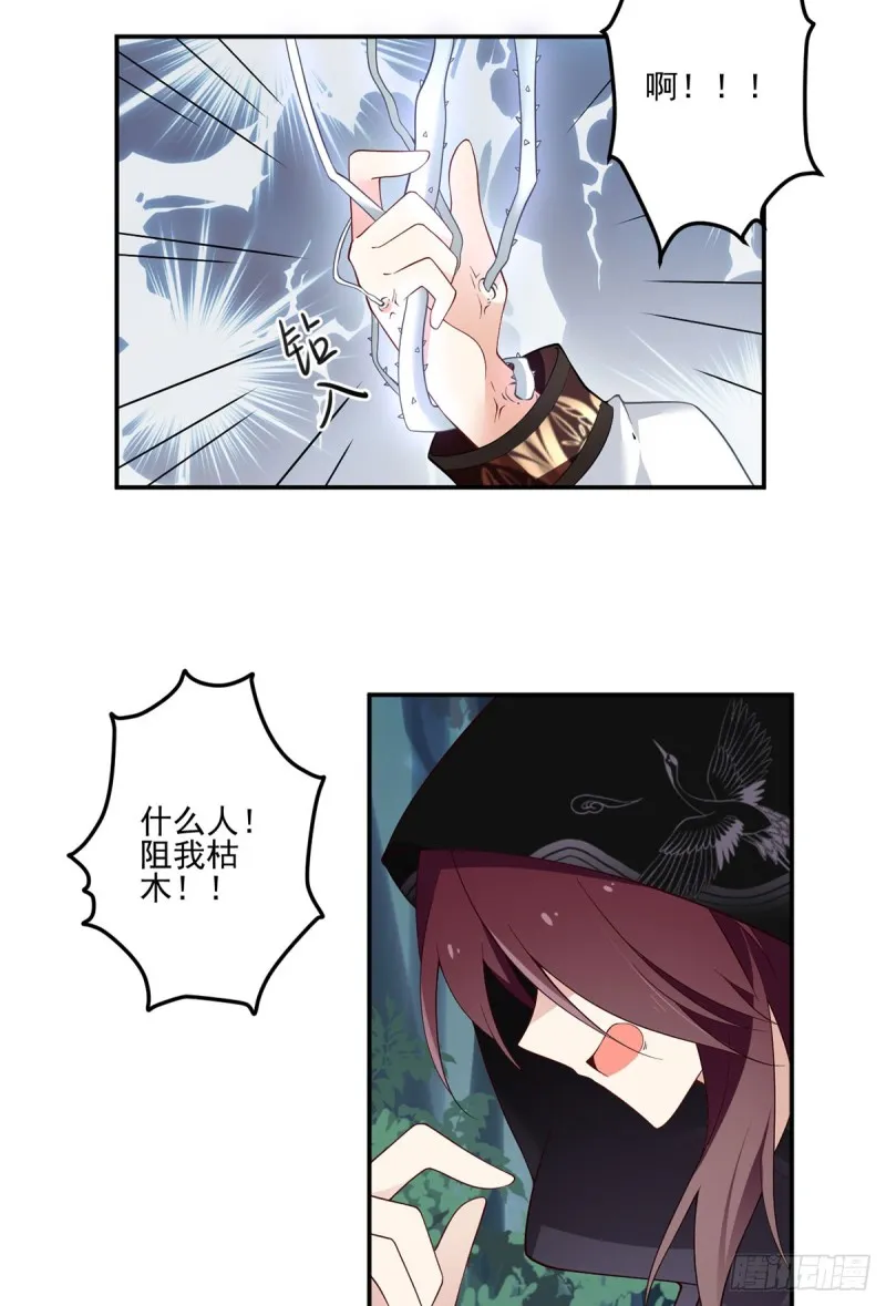 160.追踪慕轻寒 第22页