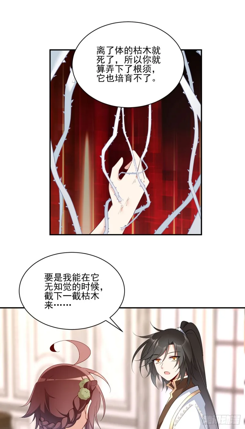 180.枯木的克星 第19页