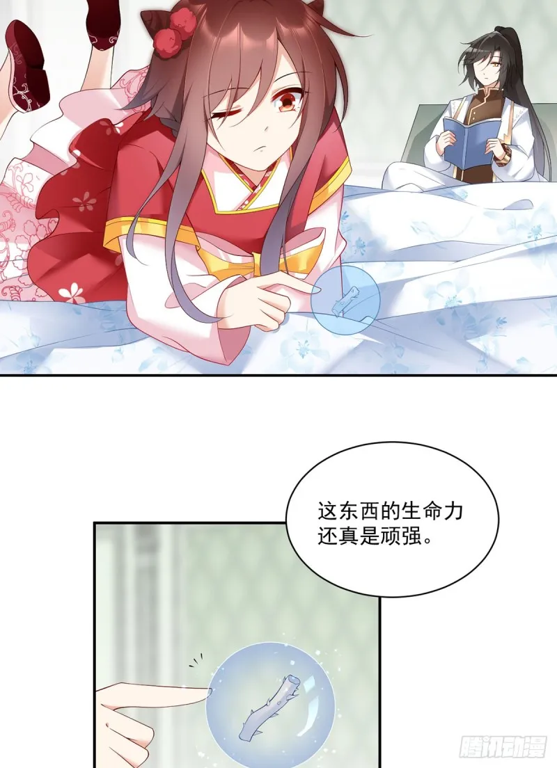 192.师父长大了 第4页
