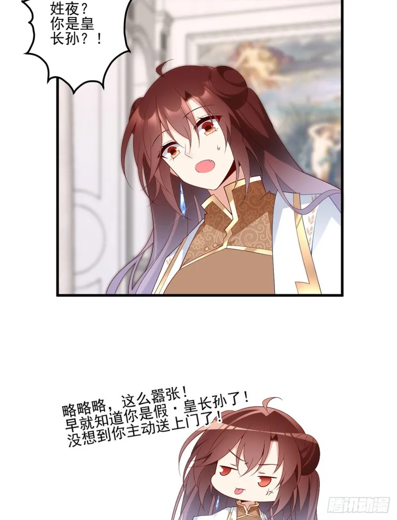 205.皇长孙的来访 第30页