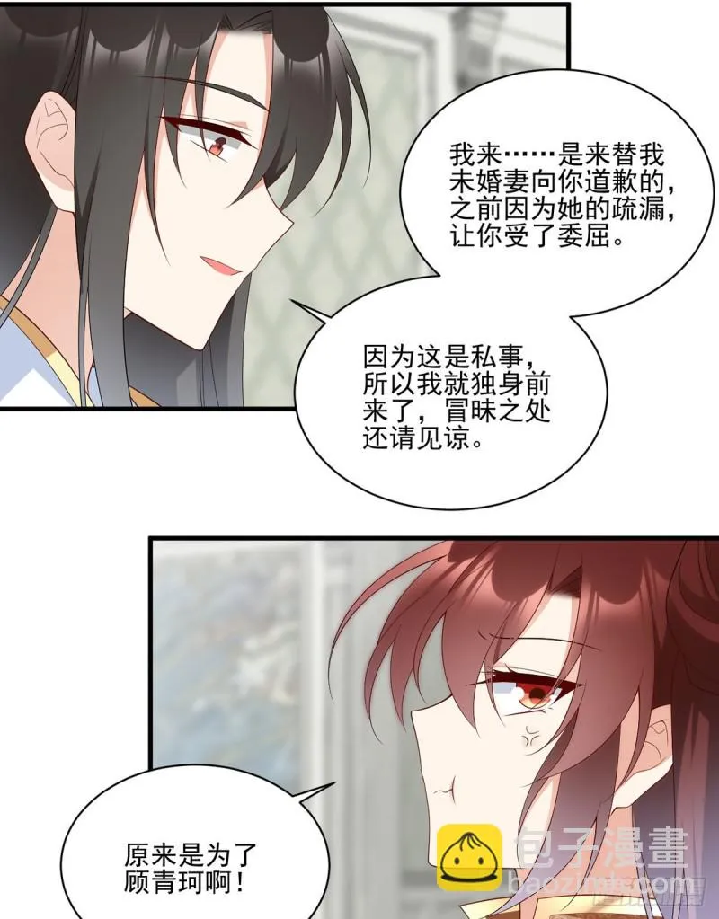 205.皇长孙的来访 第33页