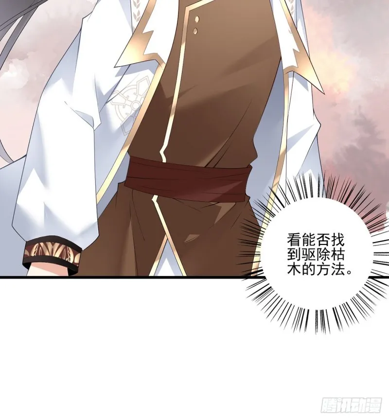 211.机会只有一次 第4页