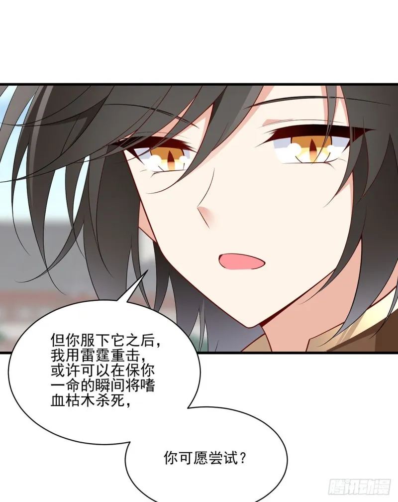 211.机会只有一次 第27页
