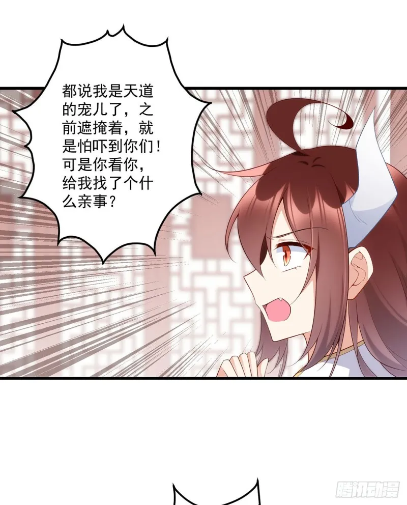 237.相亲？！不必了吧！ 第35页