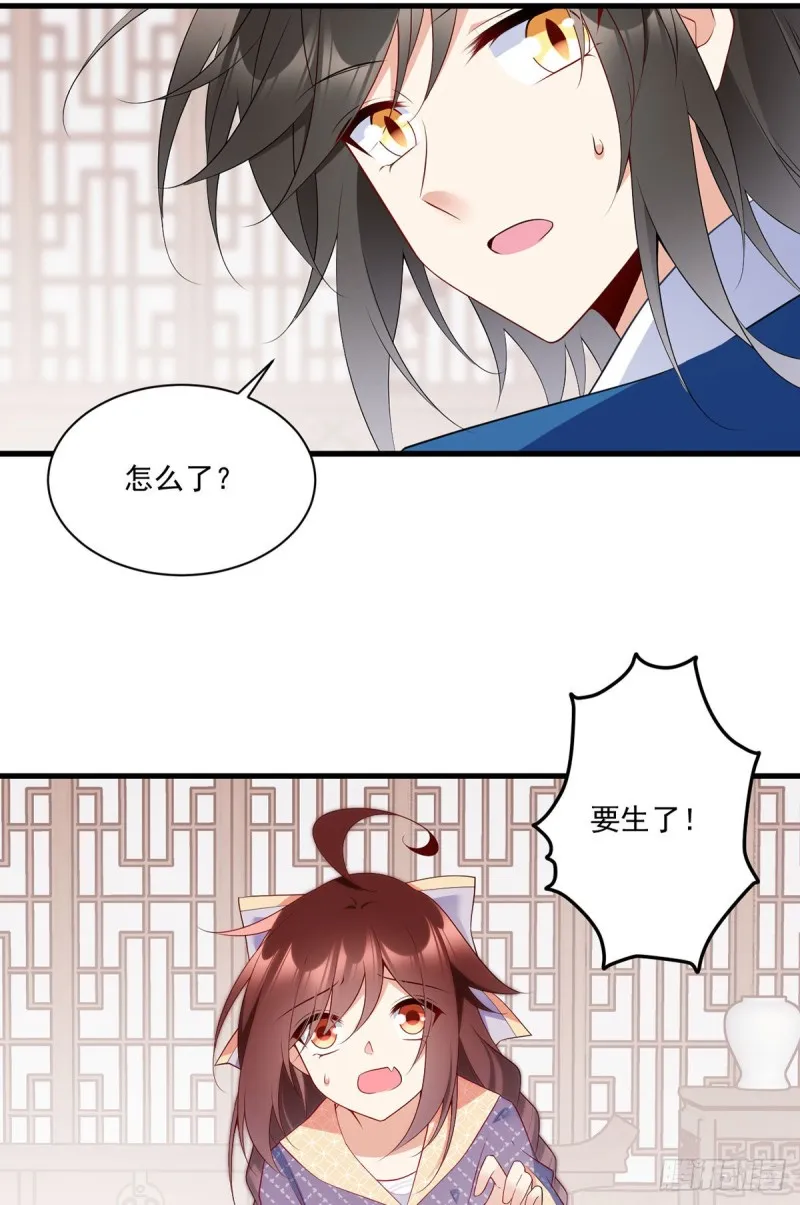 249.生了生了，它生了！ 第17页