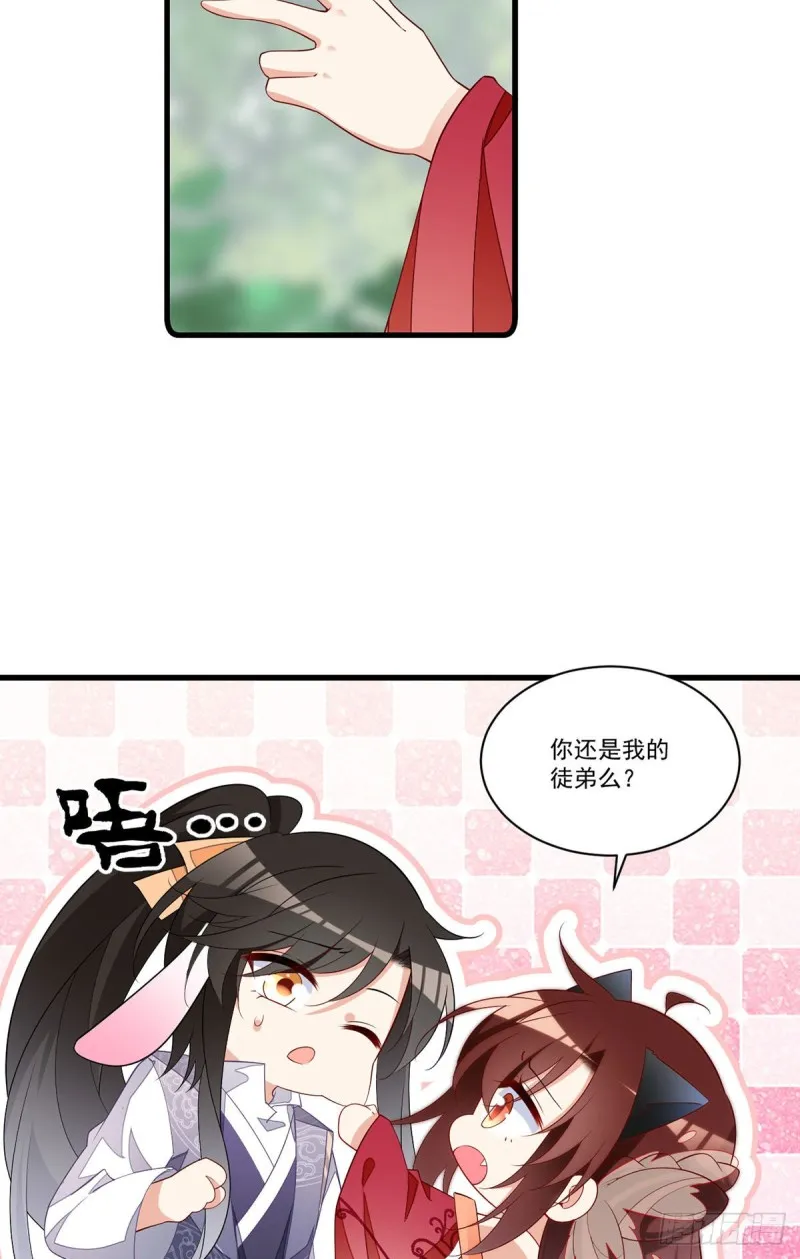 268.新的征程 第11页