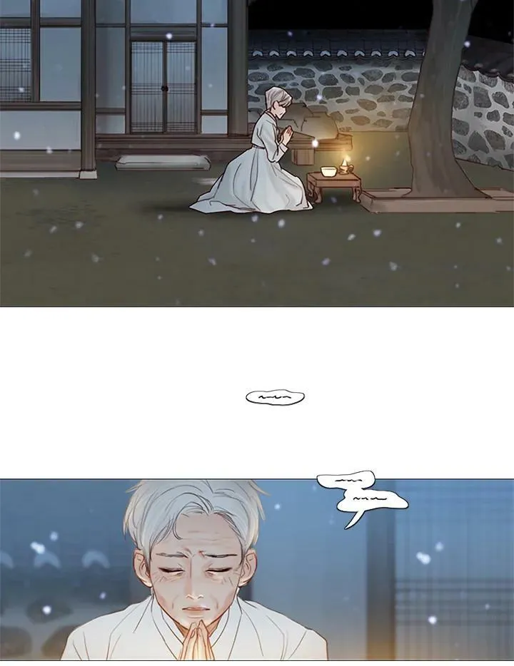 第56话 被遮掩的蝴蝶 第3页