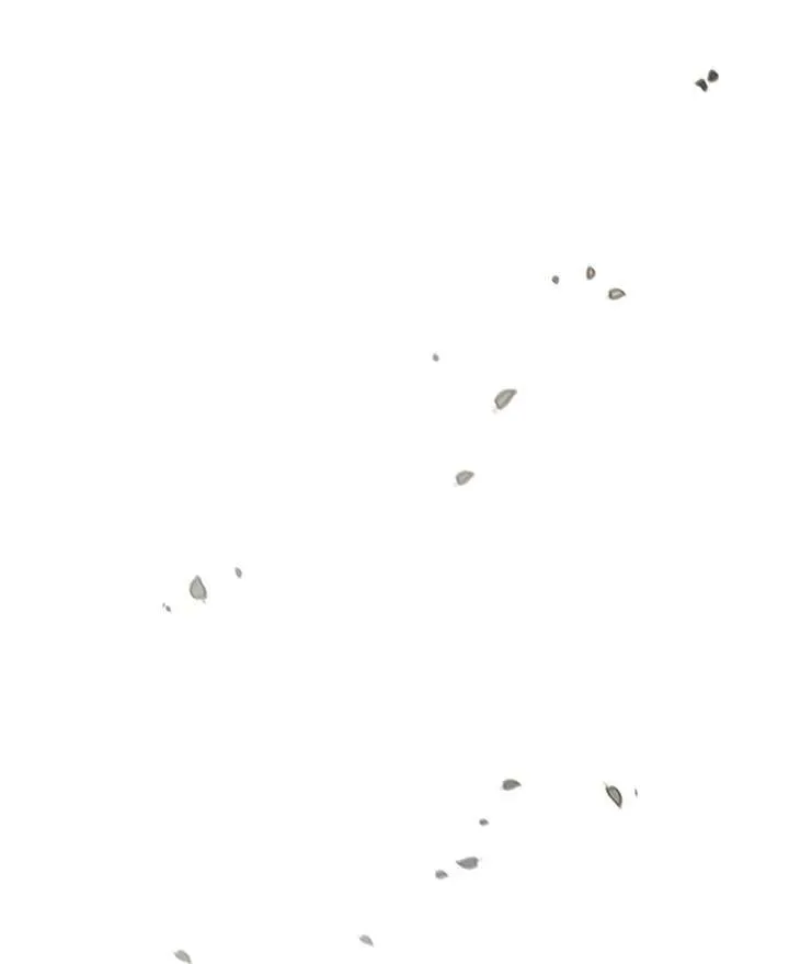 第67话 狐狸雨 第30页