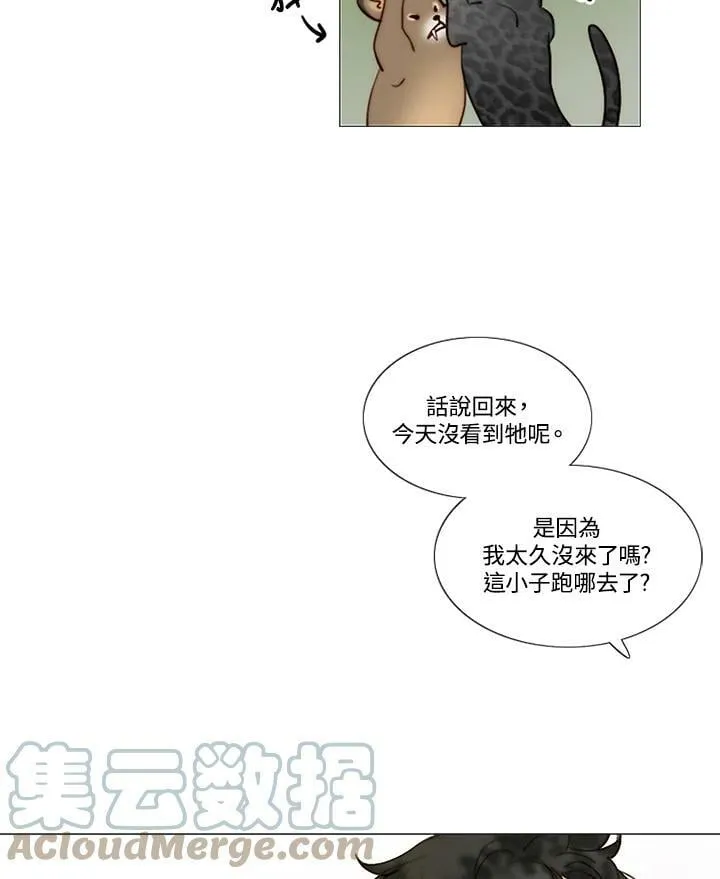 第67话 狐狸雨 第43页