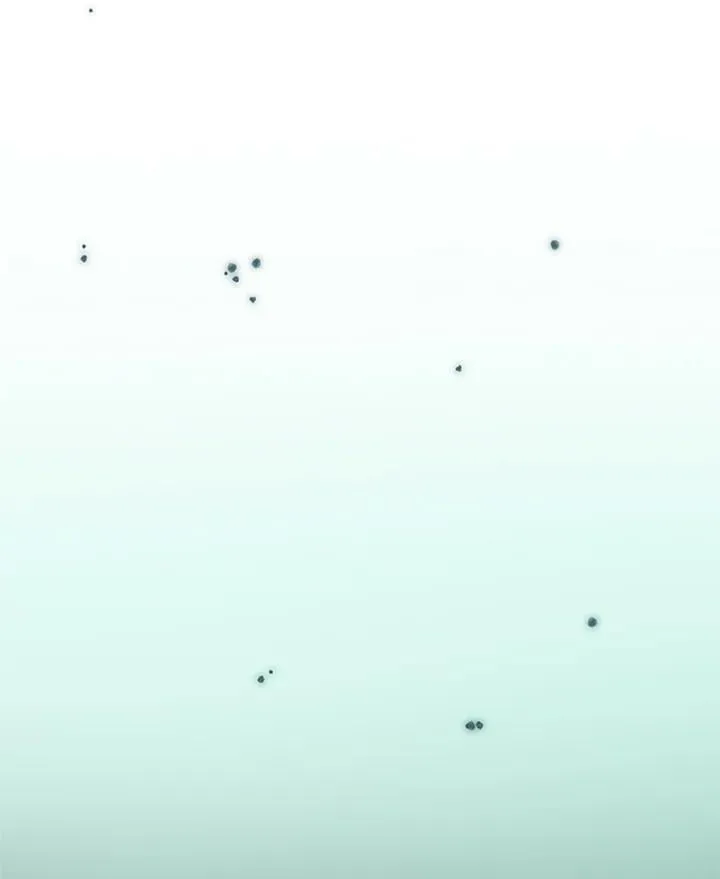 第81话 鲜红的红宝石 第71页