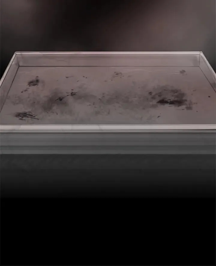 第113话 innocent 第123页