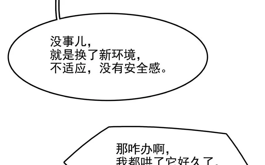 38 第39话 喵语十级 第37页