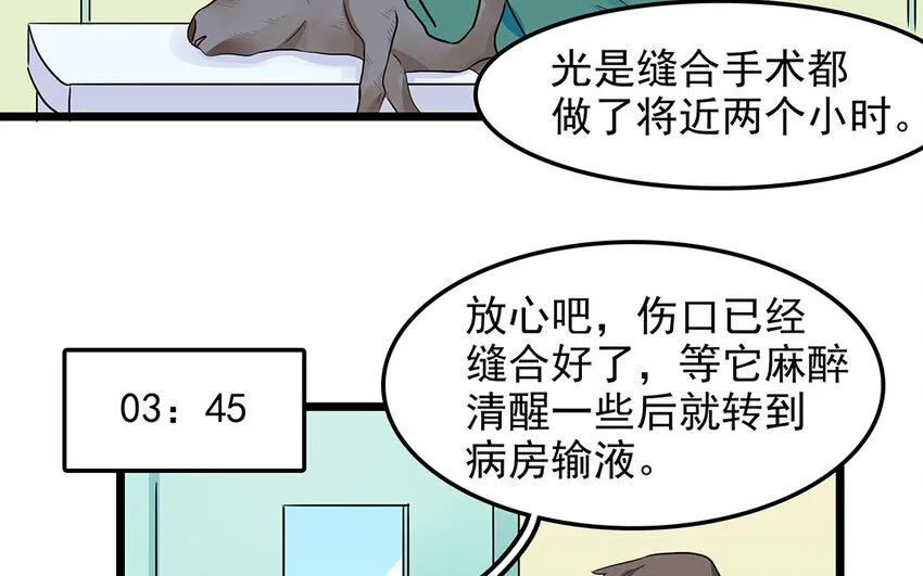 50 第51话 曾经的过错 第33页