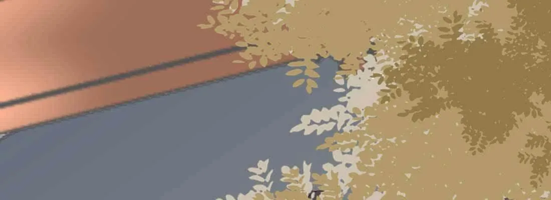照看 第213页