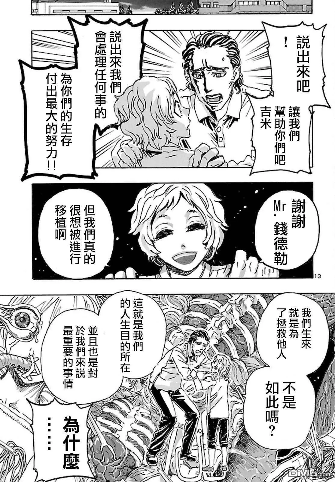 第29话 从加勒比归来的少年  第14页