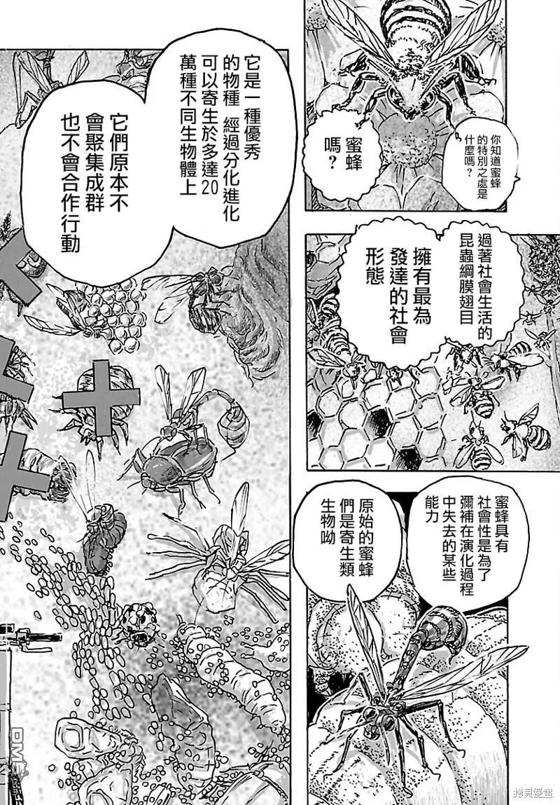 第44话 第20页