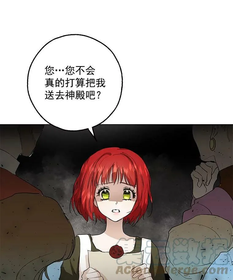 1.重生为灰姑娘？ 第81页