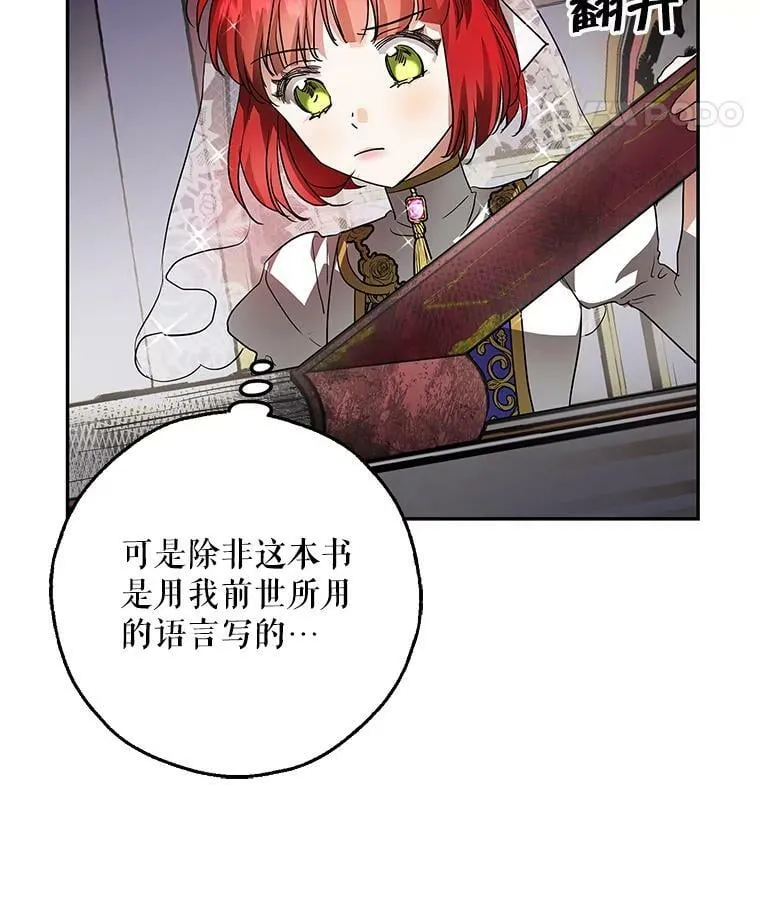 9.伟大的秘密之书 第102页