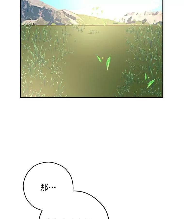 12.消失的哈斯加德 第63页
