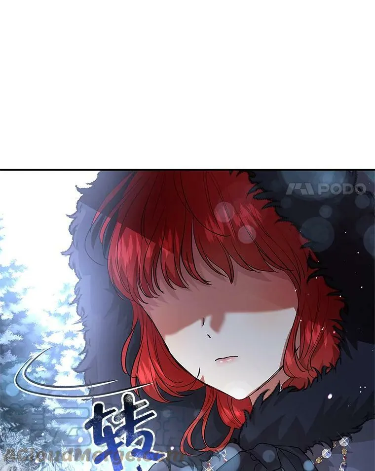 12.消失的哈斯加德 第94页
