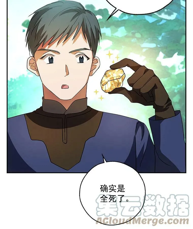 16.我能守住城堡吗？ 第25页