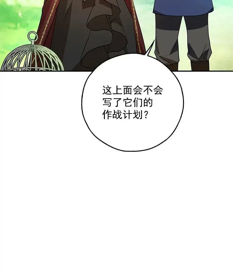 16.我能守住城堡吗？ 第36页