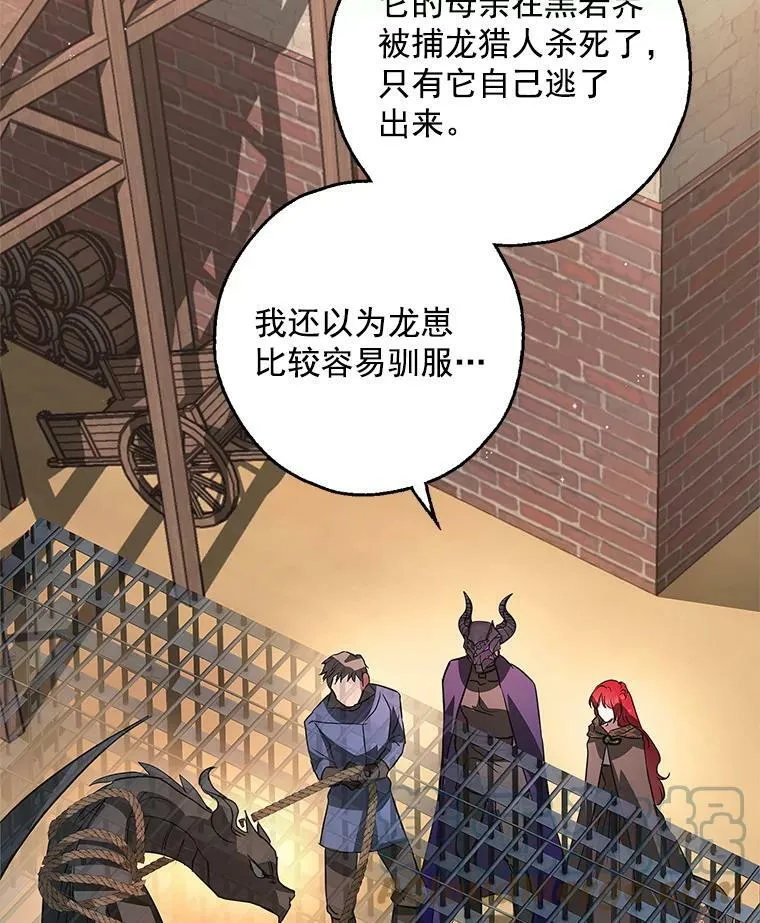 21.暴躁的龙 第41页