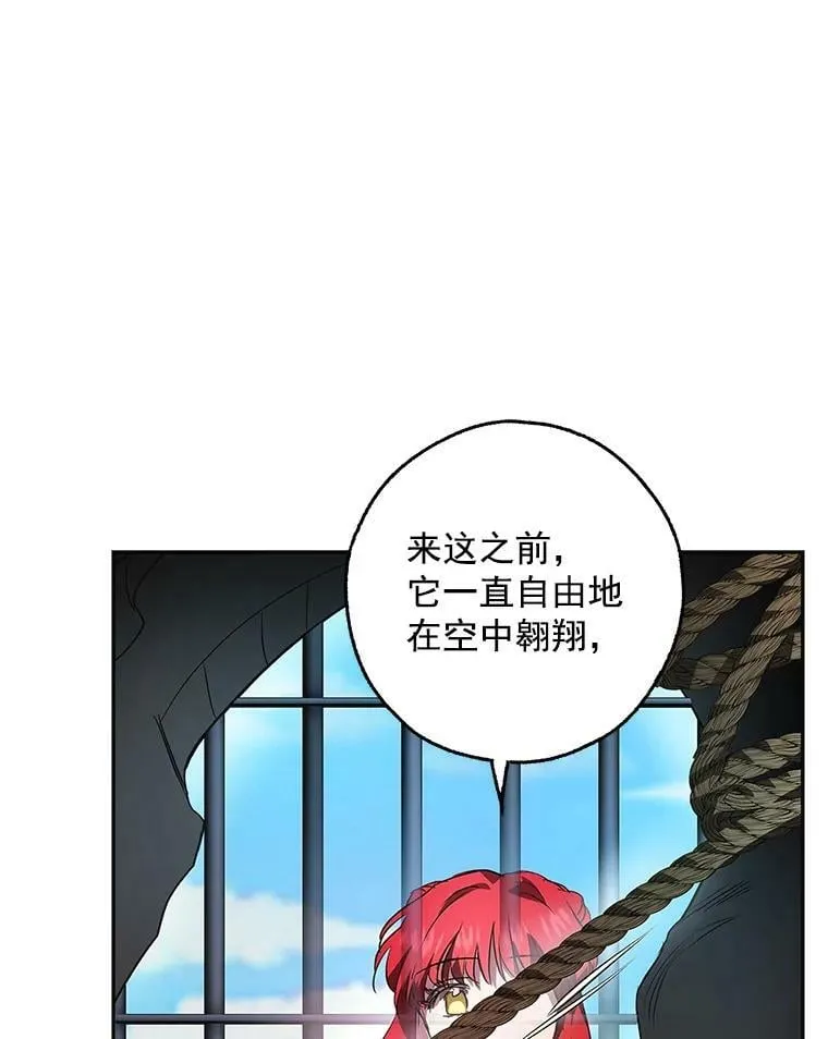 21.暴躁的龙 第52页