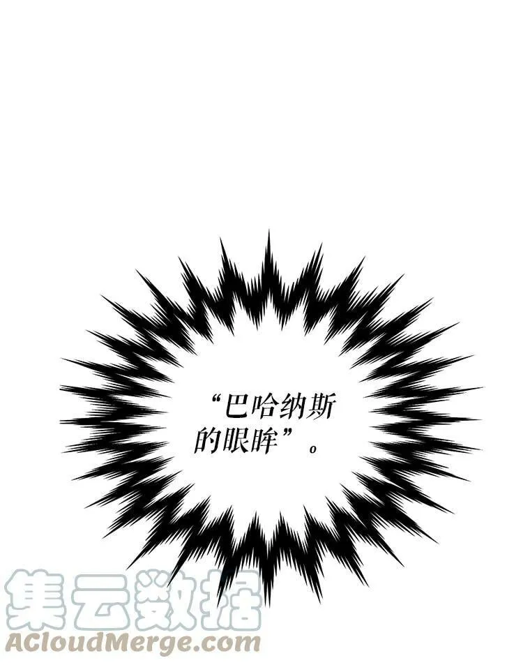 25.征讨巴洛萨 第49页