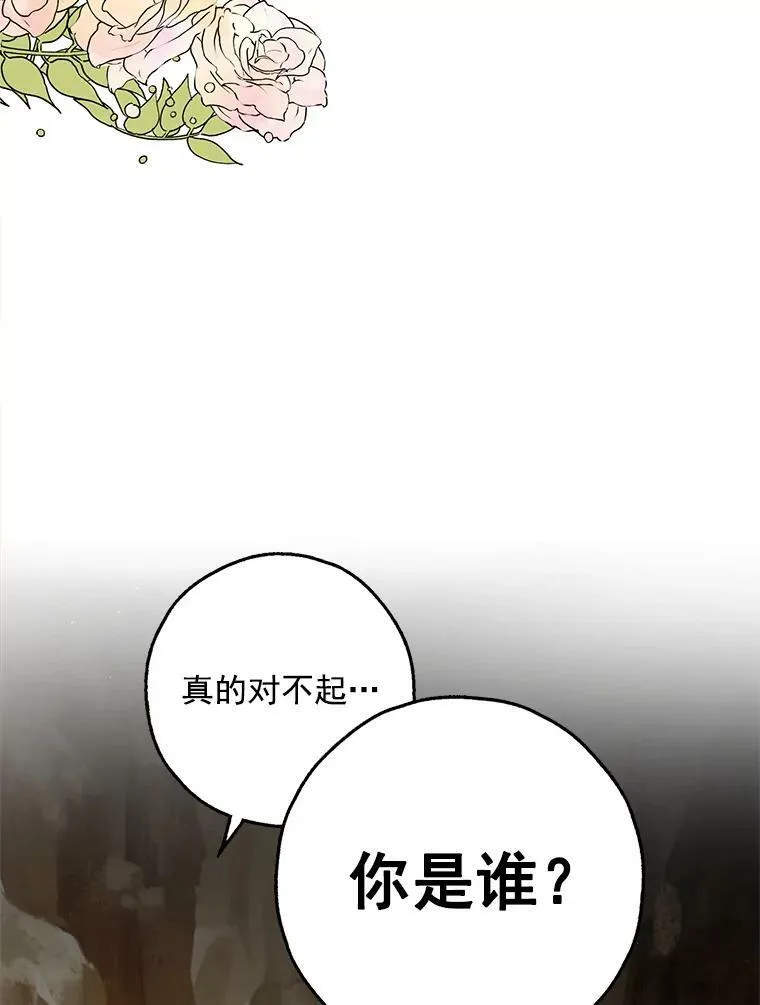 25.征讨巴洛萨 第95页