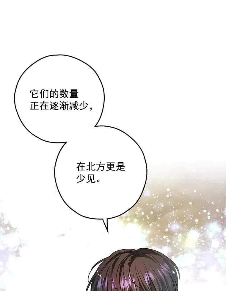 26.面具下的隐藏美男？ 第80页