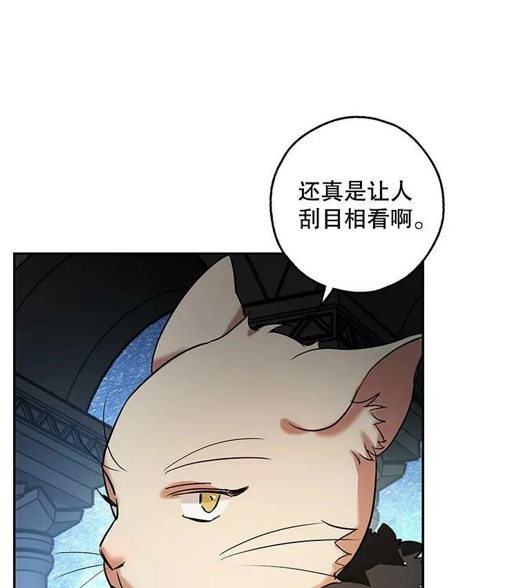 30.胶卷相机？ 第62页