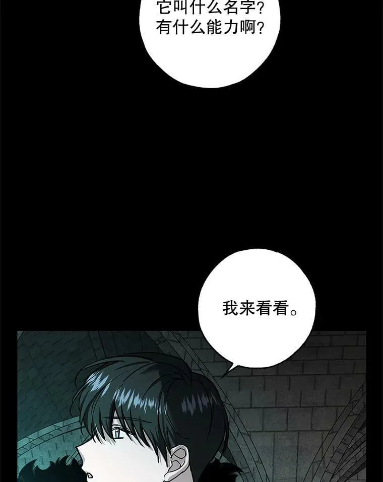 33.巴山伯爵的秘密 第40页