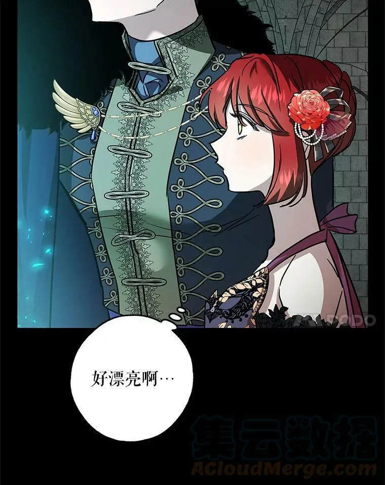 33.巴山伯爵的秘密 第41页