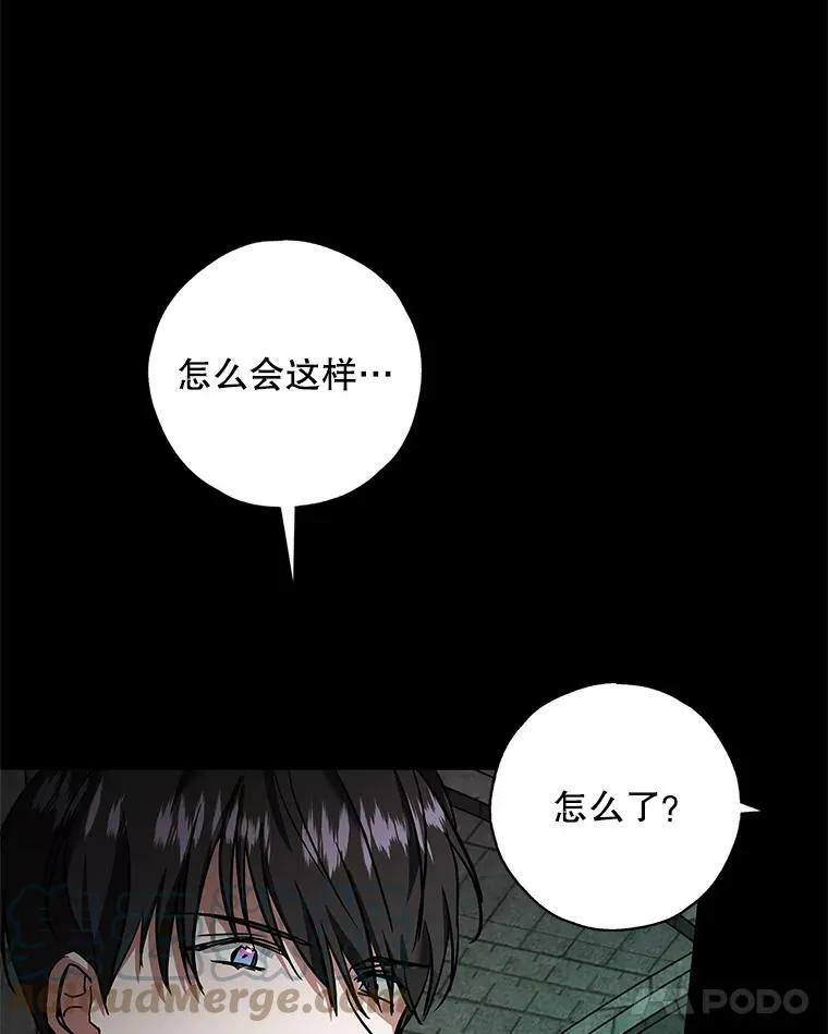 33.巴山伯爵的秘密 第45页