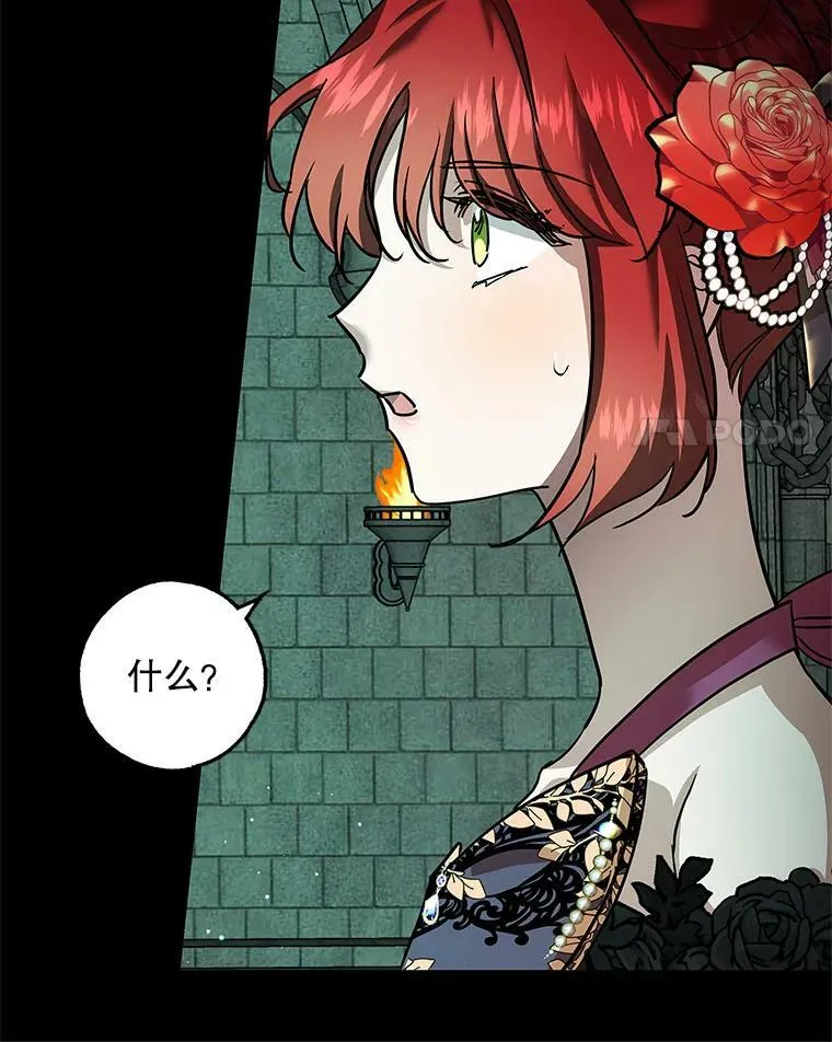 33.巴山伯爵的秘密 第48页