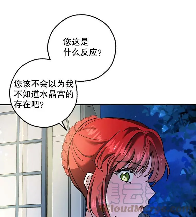 33.巴山伯爵的秘密 第89页