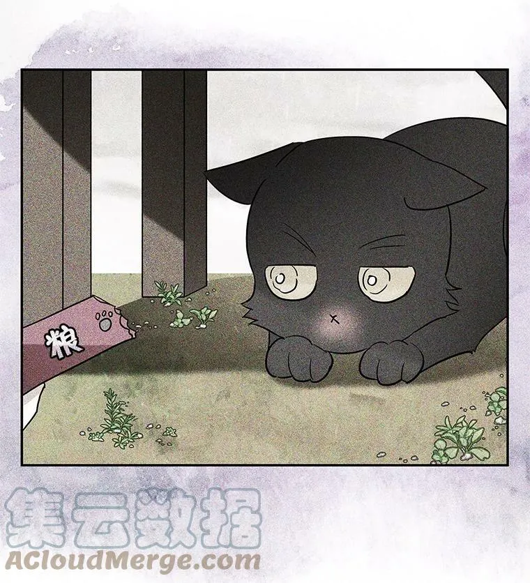 35.异世界酒馆开业 第13页
