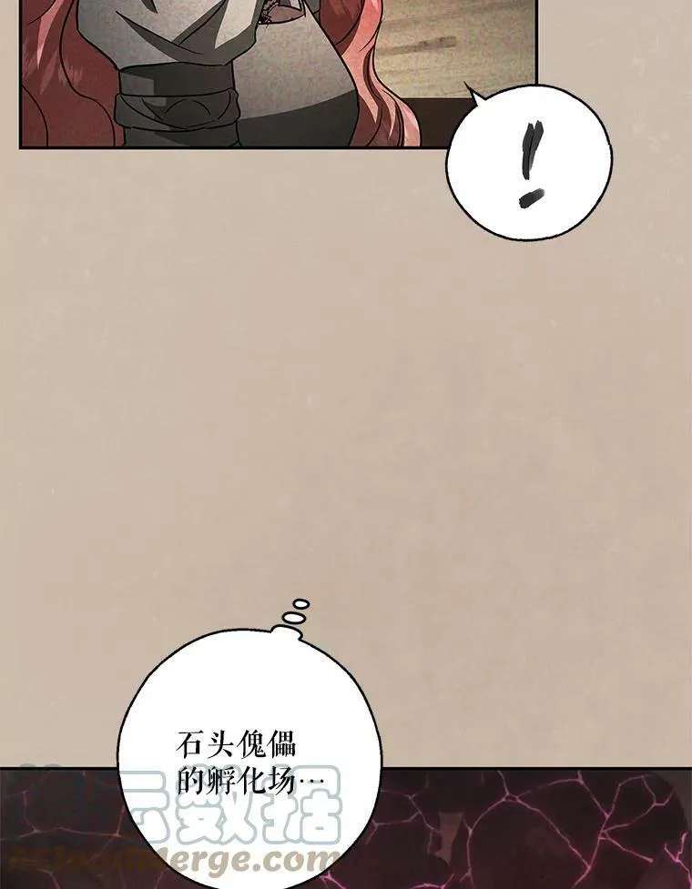 36.石头傀儡的幼崽 第49页