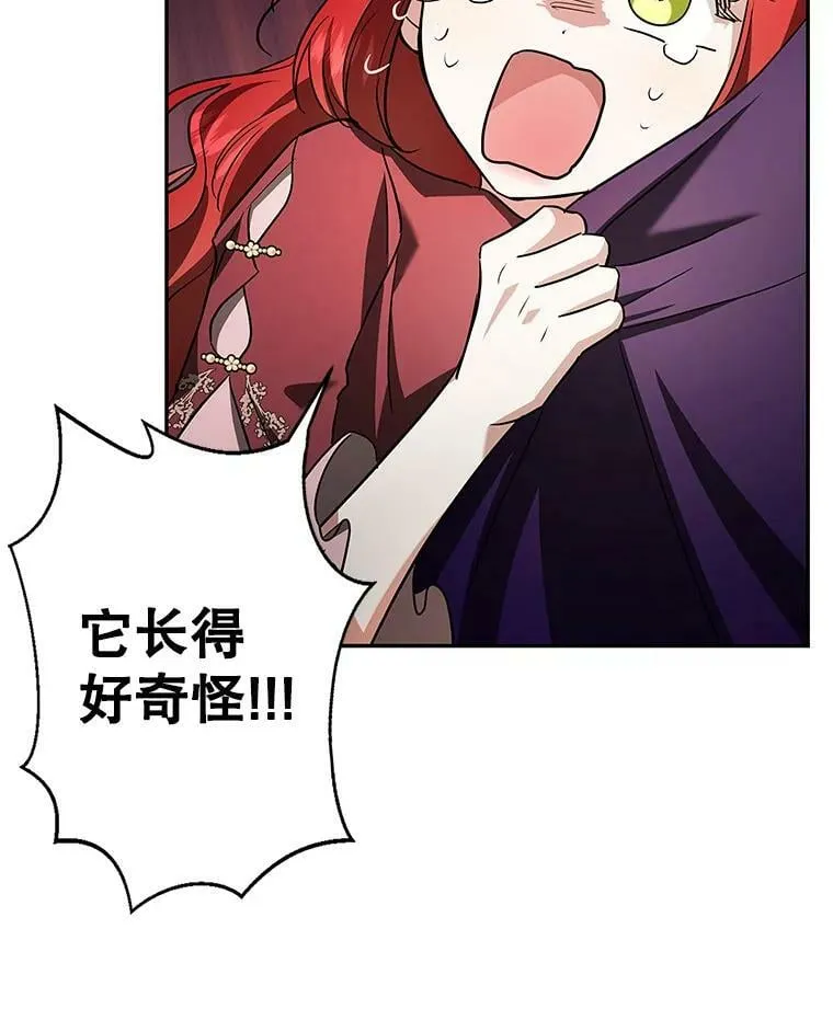 36.石头傀儡的幼崽 第79页