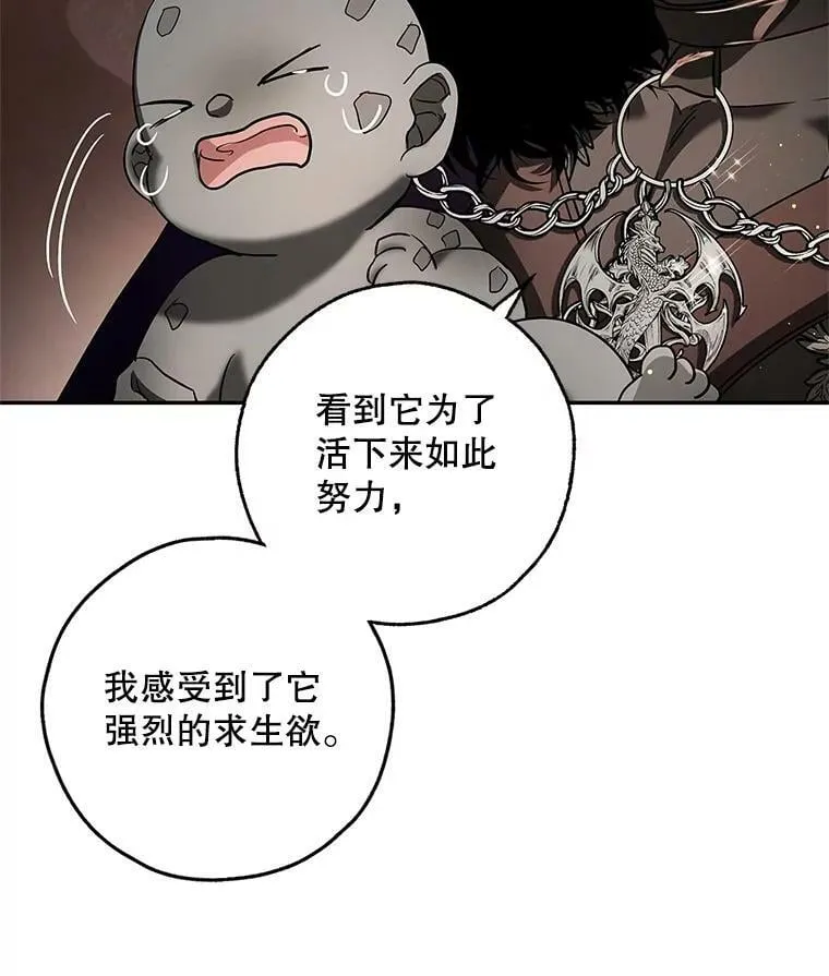 36.石头傀儡的幼崽 第88页