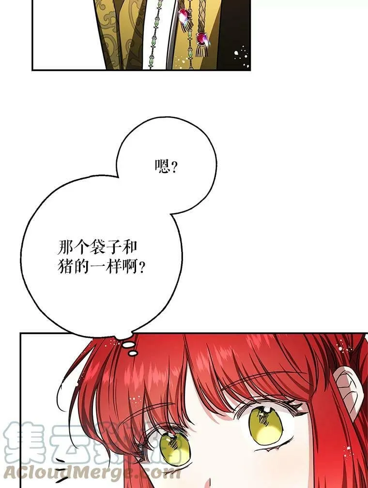 45.与贝亚尔的交易 第16页