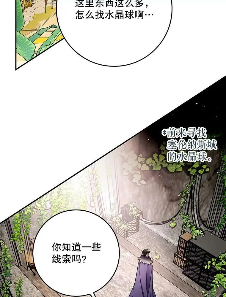 56.无知之幕 第2页